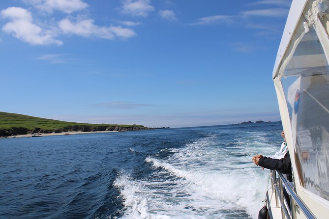 Dingle Dolphin Blasket Adventures - The Dingle Bay to Blasket run: why the views feel different from the water