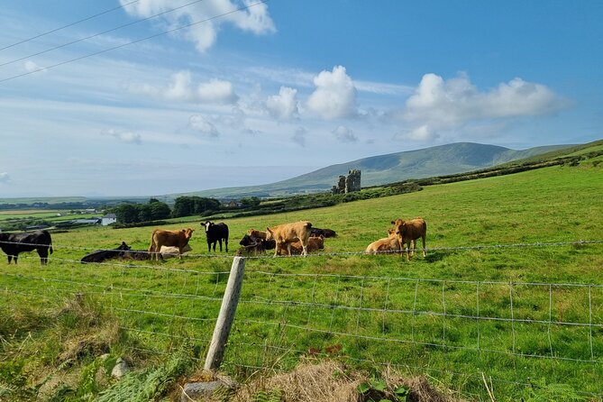 Dingle: Hour Slea Head Drive Tour 4hr - Personal Chauffeur Guide - Fahan BeeHive Huts: small stop, big connection to local life