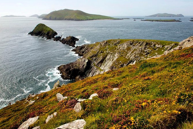 Dingle Peninsula Day Tour from Cork: Including The Wild Altanic Way - Slea Head Drive on the Wild Altanic Way: the star of the day