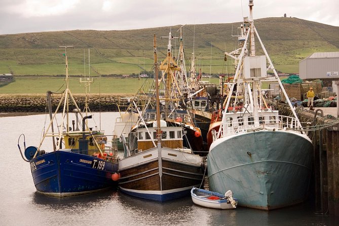 Dingle Peninsula Day Tour from Limerick: The Wild Atlantic Way - Why This Limerick to Dingle Day Trip Works
