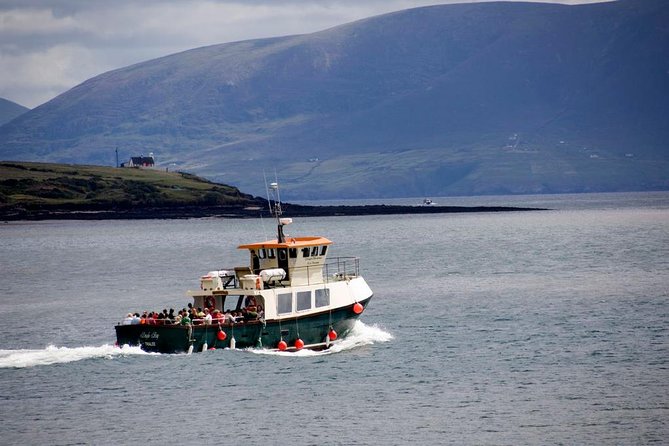 Dingle Peninsula Day Tour from Limerick: The Wild Atlantic Way - From Henry Street to County Kerry in One Smooth Start