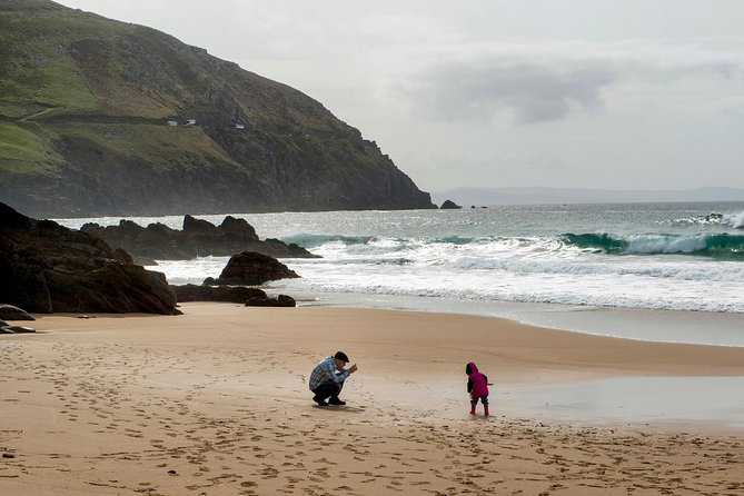 Dingle Peninsula Day Tour from Limerick: The Wild Atlantic Way - Dingle Town: Pub Density, Fungi the Dolphin, and Real-Time Choices