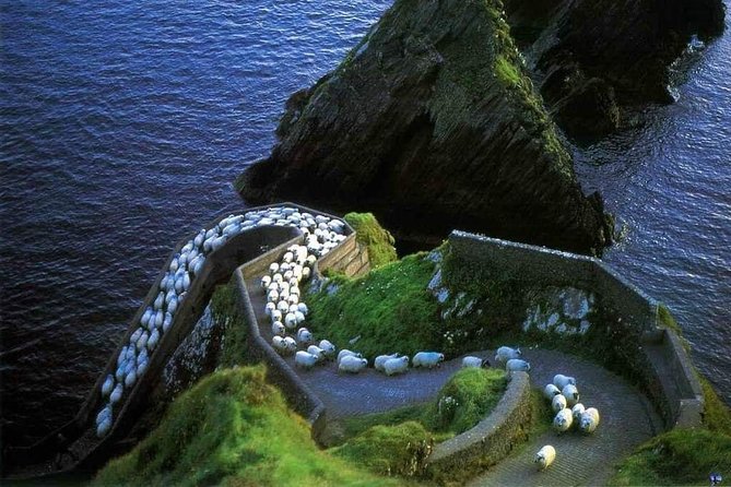Dingle Peninsula Four Hour Private Tour - Conor Pass for the high viewpoints (and why it matters)