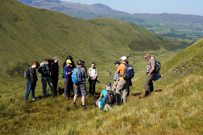 Dingle Peninsula Guided Walking Tour - Price and value: what $216.53 buys you in real experience time