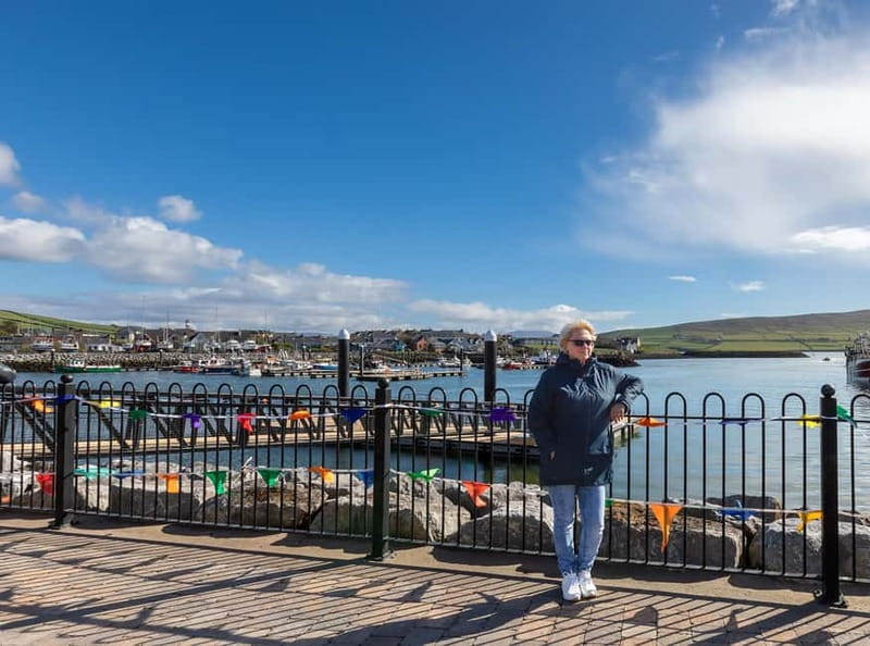Dingle Peninsula & Slea Head Drive: Tour from Killarney - Price and What You Really Get for $760 per Group
