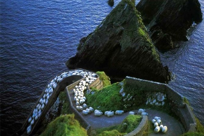 Dingle Peninsula Tour from Killarney: Including Wild Atlantic Way - Getting Started in Killarney Without Car Stress