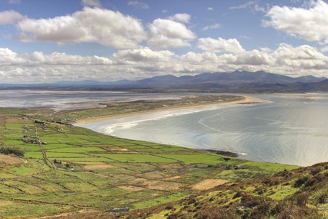 Dingle Peninsula Tour from Killarney: Including Wild Atlantic Way - Dingle Town: Pubs, Fish and Chips, and Fungi the Dolphin