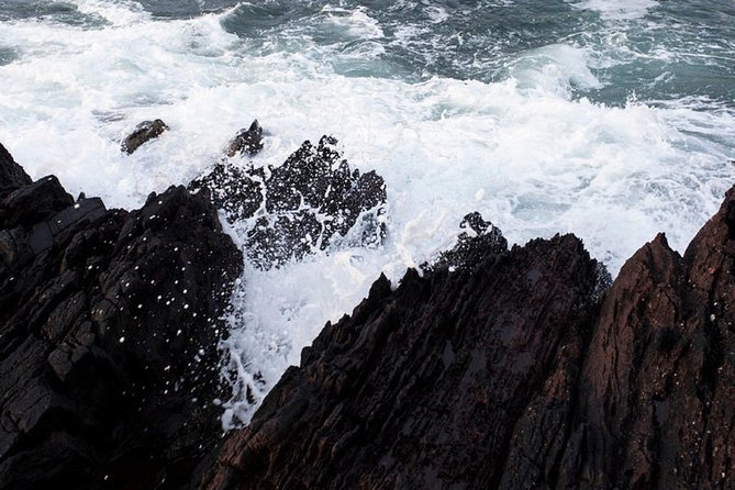 Dingle Peninsula Tour from Killarney: Including Wild Atlantic Way - Price and Value: Why About $54 Can Make Sense