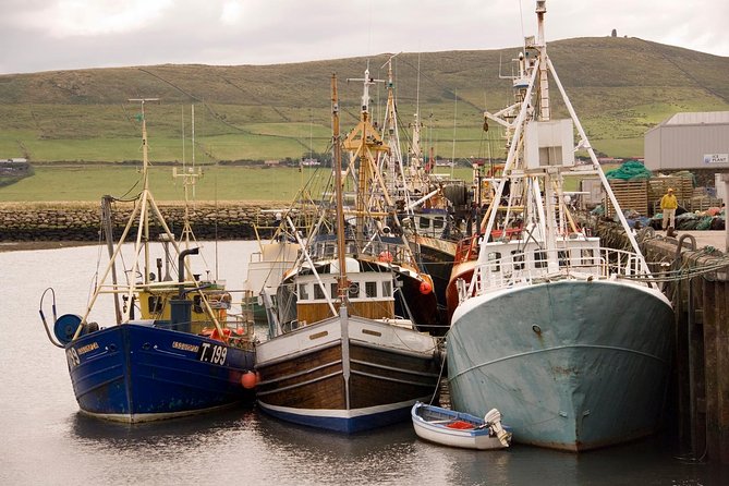 Dingle Peninsula Tour from Killarney: Including Wild Atlantic Way - Best Time and Best Fit: Who This Tour Works For