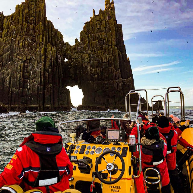 Dingle: Sea Safari by RIB Boat - Wildlife Spotting: Seals, Puffins, Dolphins, and More