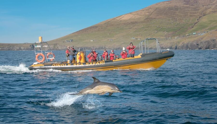 Dingle: Sea Safari by RIB Boat - Cruising the West Kerry Coastline and Dingle Peninsula Cliffs