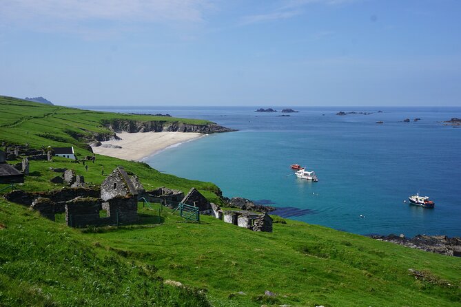 Dingle to Blasket Island Ferry - What the reviews praise most, and how it helps you decide