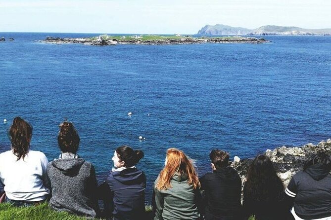 Dingle to Blasket Island Ferry - Price and logistics: is $102.25 a good deal?