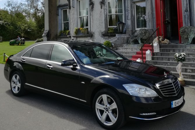 Dingle Town & Peninsula Private Chauffeur Driven Day Tour From Killarney Luxury - The sheep farm meet-and-greet and ancient bee hive huts