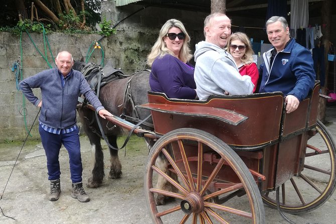 Dingle Town & Peninsula Private Chauffeur Driven Day Tour From Killarney Luxury - Food, timing, and what is really included