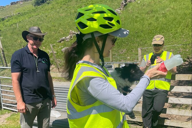 Discover Connemara Tour by Electric Fat Tyre Bike - Riding toward Loch Na Fooey and the lower Lough Mask route