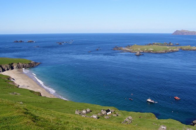 Dolphin and Whale Watching Tour from Dingle - Wildlife Watching That Feels Like a Hunt, Not a Guarantee