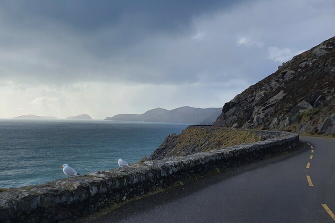 Dublin Airport to Galway ,Private Chauffeur Service - Who This Dublin to Galway Transfer Is Best For
