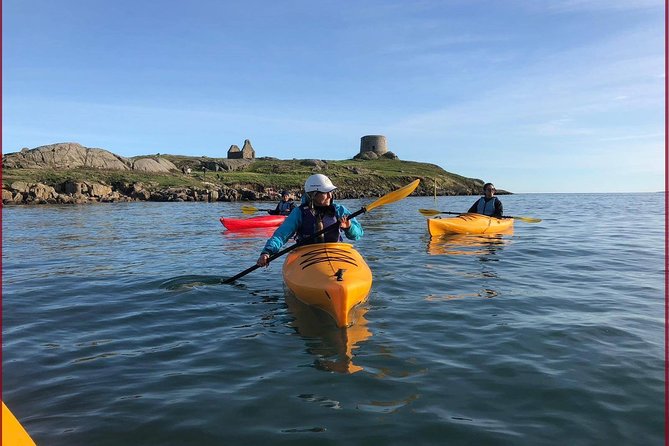 Dublin Bay Seal Kayaking Safari at Dalkey - Key things to know before you paddle Dalkey’s seals