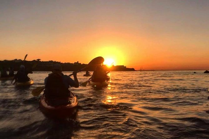 Dublin Bay Seal Kayaking Safari at Dalkey - Why Dublin Bay Seal Kayaking feels like a real safari