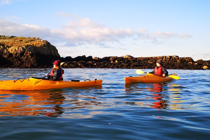 Dublin Bay Seal Kayaking Safari at Dalkey - Safety rules you should take seriously (and why it pays off)