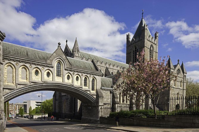 Dublin Christ Church Cathedral Admission Ticket - The medieval crypt: Magna Carta, exhibits, and the weird cat-and-rat moment