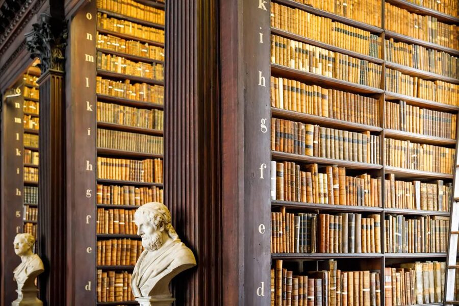 Dublin City Walking Tour, Vikings, St. Partick, Highlights - A Practical “What You Should Know First” Checklist
