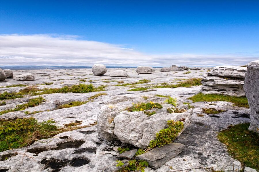 Dublin: Cliffs of Moher, Atlantic Edge & Galway City - Galway City in two hours: medieval streets, Spain trade stories, and live music