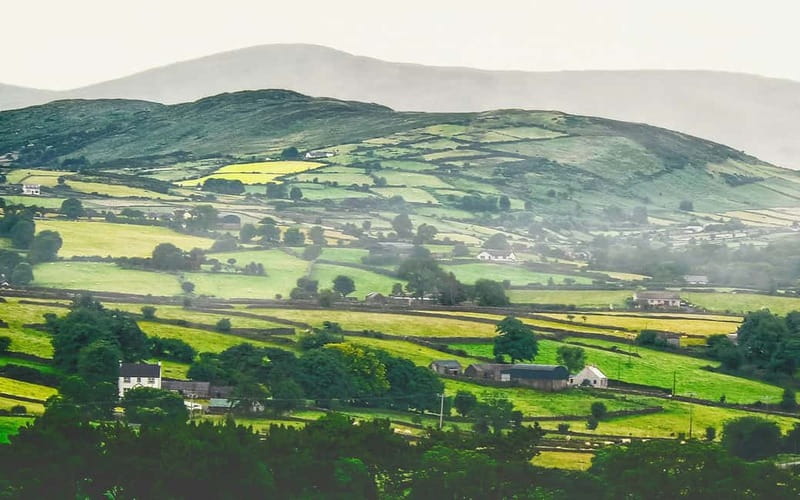 Dublin: Cliffs of Moher, Bunratty Castle and Ennis Day Trip - The bus ride: timing pressure, comfort, and choosing your seat