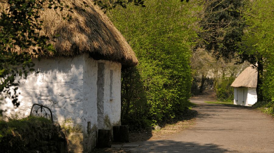Dublin: Cliffs of Moher, Ennis, & Bunratty Castle Day Tour - The coach ride, comfort, and the breaks you actually need