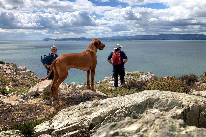 Dublin Coastal Hike with Howth Adventures - Howth Market to the harbor: start with sea views and a seal chance