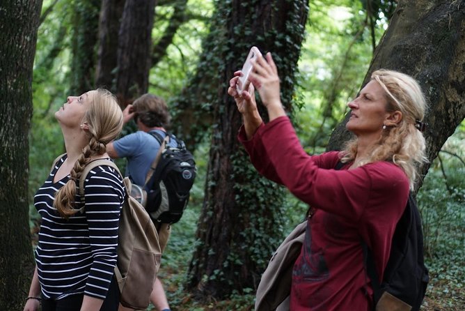 Dublin Coastal Hike with Howth Adventures - St Mary’s Abbey: King Sitric’s Viking-era stop