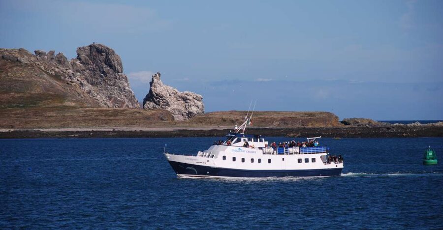 Dublin: Dublin Bay Cruise from Howth to Dun Laoghaire - Howth Cliffs, Howth Head, and the lighthouses you spot quickly