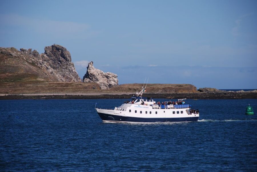 Dublin: Dublin Bay Cruise from Howth to Dun Laoghaire - Getting on the St Bridget: where to start and what the ride is like