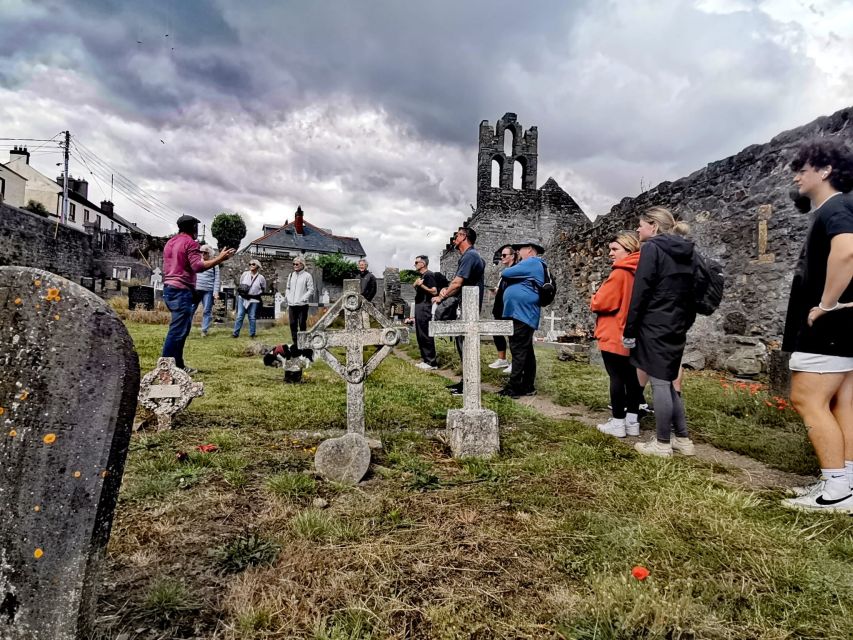Dublin: Dublin Coastal Hike and Pints & Puppies - Castle and St. Mary’s Abbey ruins: where the coast turns historical