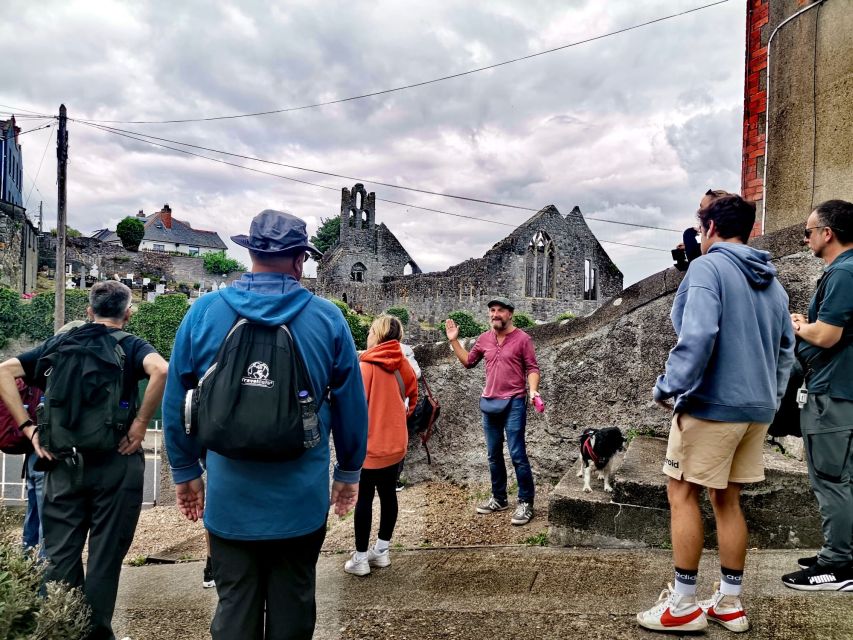 Dublin: Dublin Coastal Hike and Pints & Puppies - Hidden Howth trails: more than the obvious photo stops