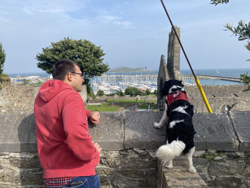Dublin: Dublin Coastal Hike and Pints & Puppies - Ending at the Blood Stream with your complimentary pint