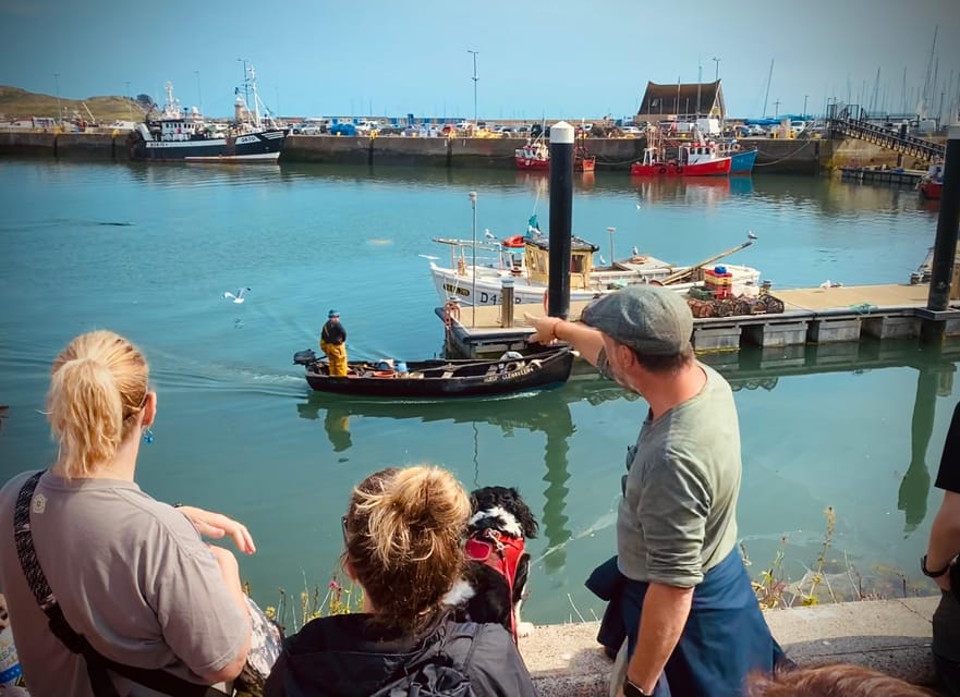 Dublin: Dublin Coastal Hike and Pints & Puppies - Who should book this coastal hike with puppies?