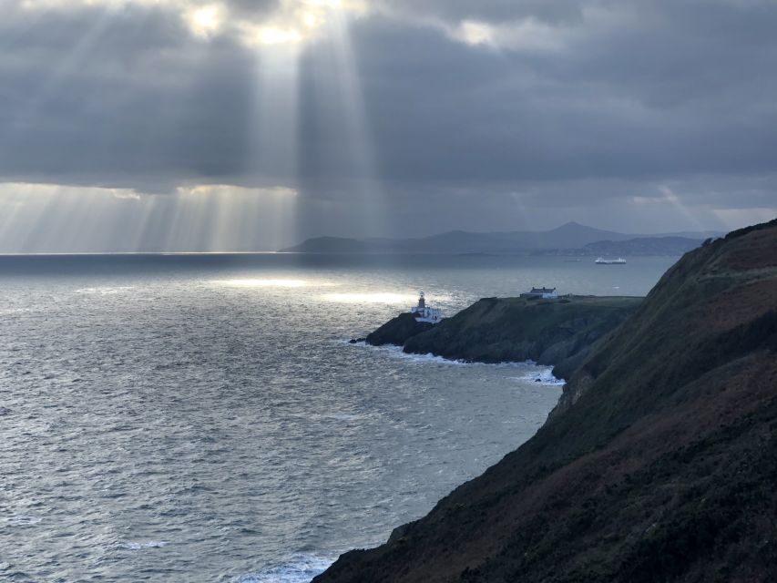 Dublin: Dublin Coastal Hike and Pints & Puppies - From marina lanes to Irish seals along the shoreline