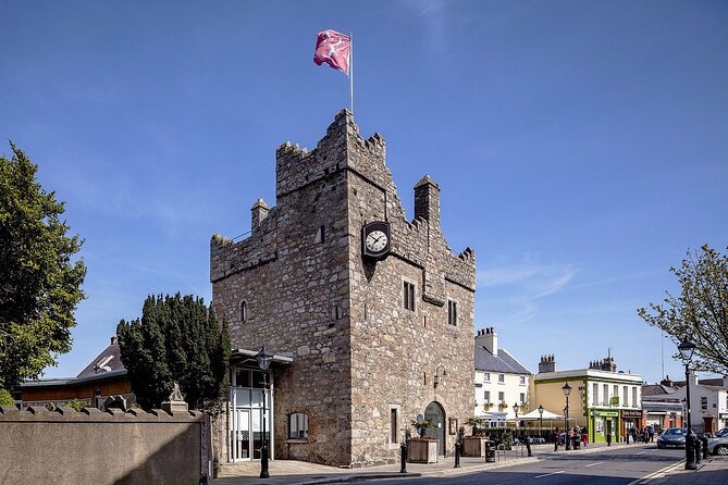 Dublin (Dun Laoghaire) Top-Rated Coastal Walking Tour - Bulloch Harbour and Bulloch Castle ruins: harbours, industry, and seals