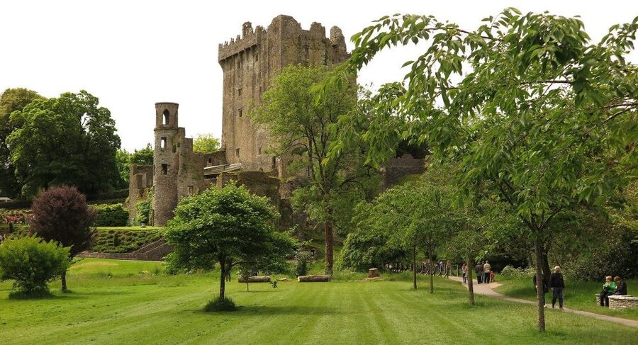 Dublin: Full-Day Tour to Cork, Cobh and Blarney Castle - Price and value: what you get for about $158