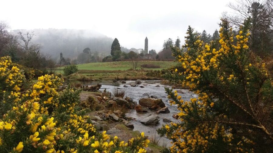 Dublin: Full-Day Wicklow Mountains Tour w/ Glendalough Visit - Day Trips from Dublin: The Wicklow Mountains in One Long, Worth-It Loop