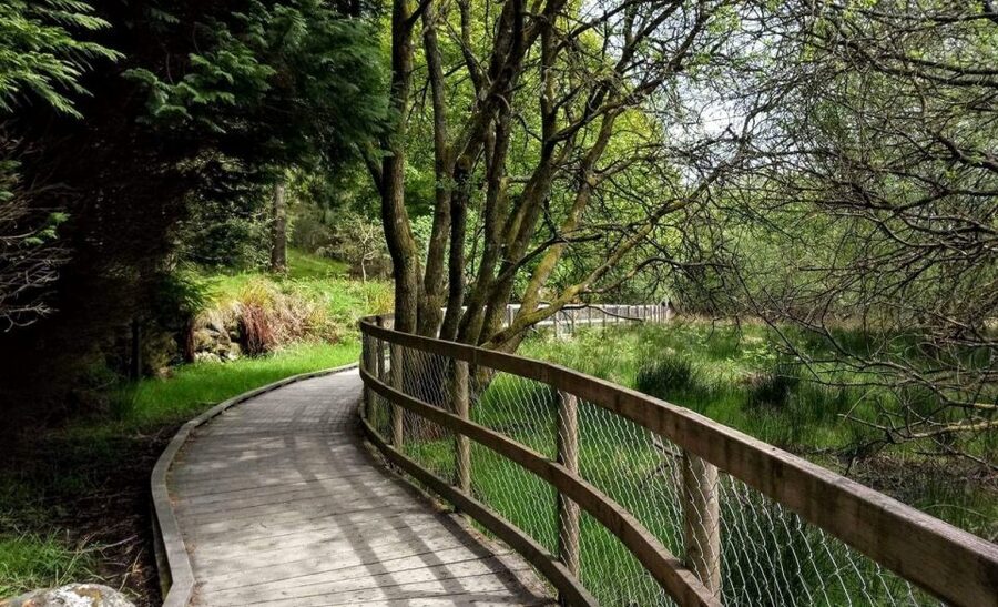 Dublin: Full-Day Wicklow Mountains Tour w/ Glendalough Visit - What to Pack for Wicklow: Shoes, Rain Gear, and a Little Patience