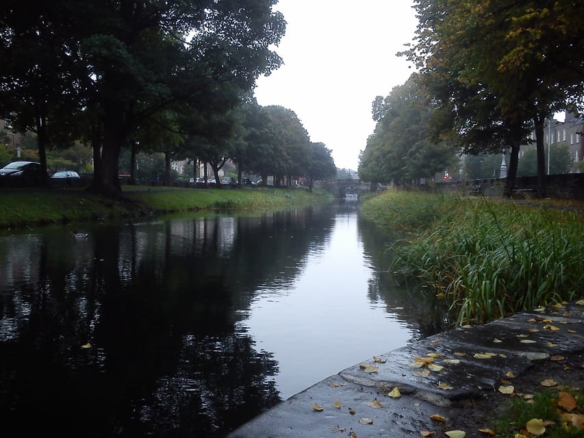 Dublin: Grand Canal Cruise with Dinner - Service and comfort: the parts you feel immediately