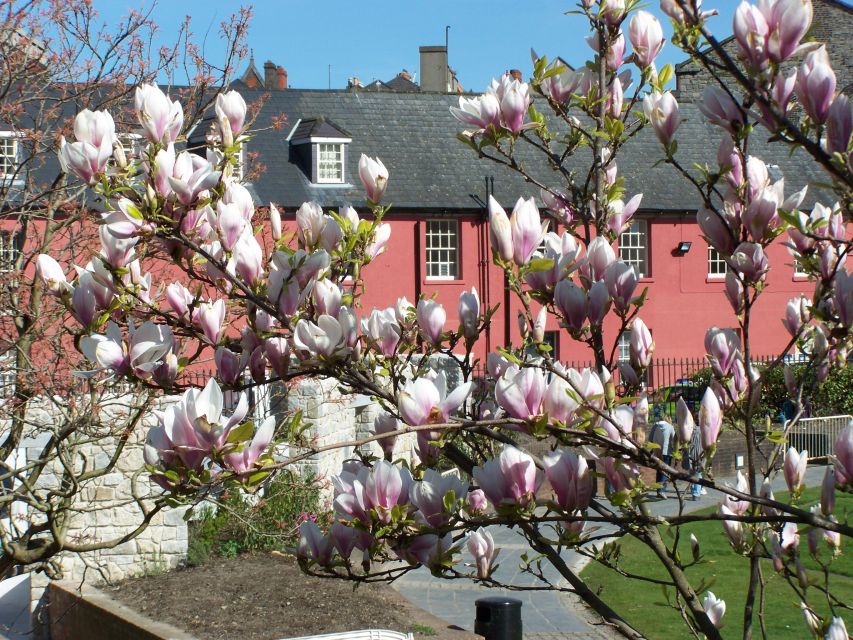 Dublin: Highlights and Hidden Corners Walking Tour - Key things you’ll notice on this Dublin walk