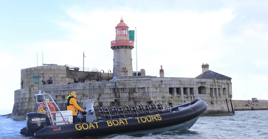 Dublin: History and Wildlife Boat Tour with Live Commentary - How the 1.5-hour timeline keeps your attention (and where you might wish for more)