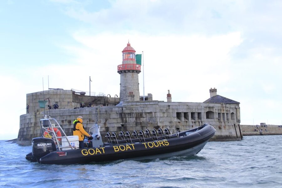 Dublin: History and Wildlife Boat Tour with Live Commentary - Price and value: is $56 worth 1.5 hours on the water?