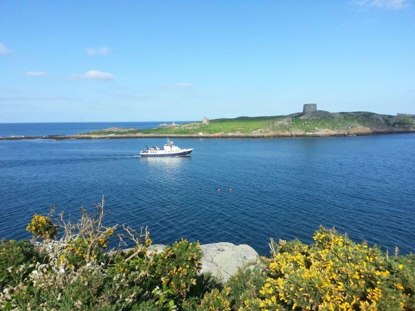 Dublin: Howth Cliffs and Ireland's Eye Boat Cruise - Should you book the Howth Cliffs and Ireland’s Eye cruise?
