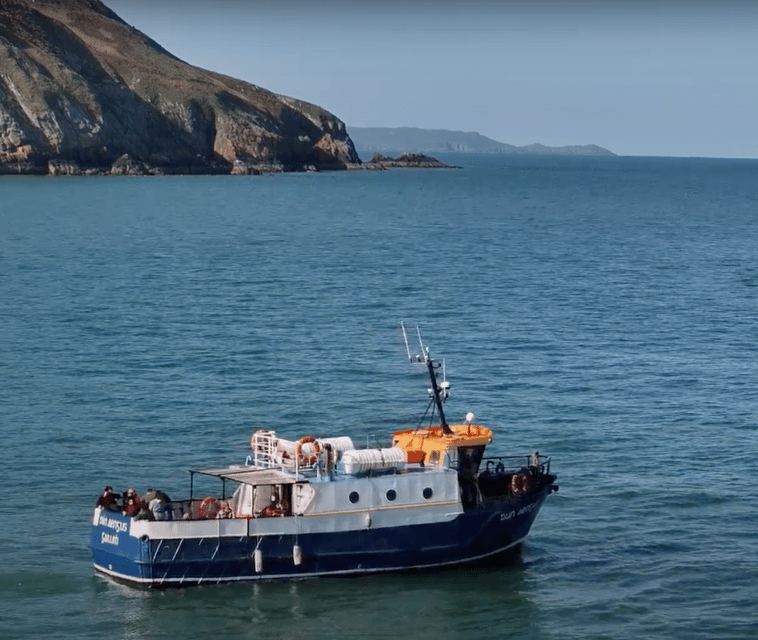 Dublin: Howth Cliffs and Lighthouse Boat Tour - Howth West Pier to Boat: Getting on fast and started right