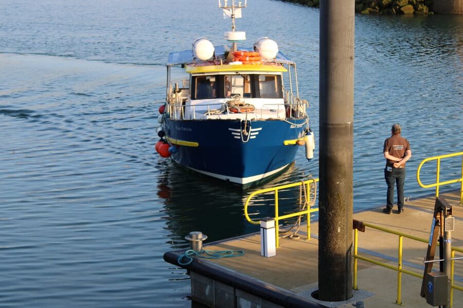 Dublin: Howth Cliffs and Lighthouse Boat Tour - Live captain commentary on a short Howth Cliffs cruise